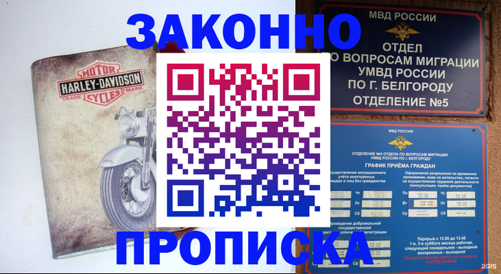 прописка для школы в Алтае